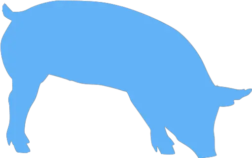 Tropical Blue Pig 7 Icon Free Tropical Blue Animal Icons Silhouette Of A Pig Transparent Png Free Pig Icon