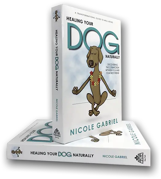 Cover Design Cartoon Png Gabe The Dog Png