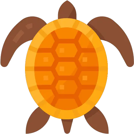 Turtle Free Animals Icons Tortoise Png Sea Turtle Icon