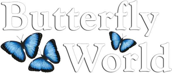 Butterfly World U2013 Where 20000 Exotic Butterflies And Birds Butterfly World Logo Png Butterfly Logo Name