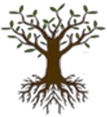 Stephen Ziadie Roothospitality Twitter Decorative Png Apple Tree Icon