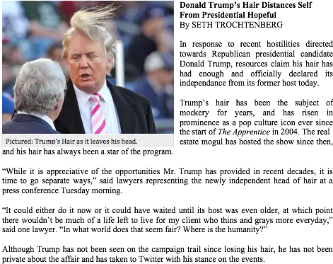 Download Hd Donald Trumpu0027s Hair Distances Self From Debate Png Trump Head Transparent Background