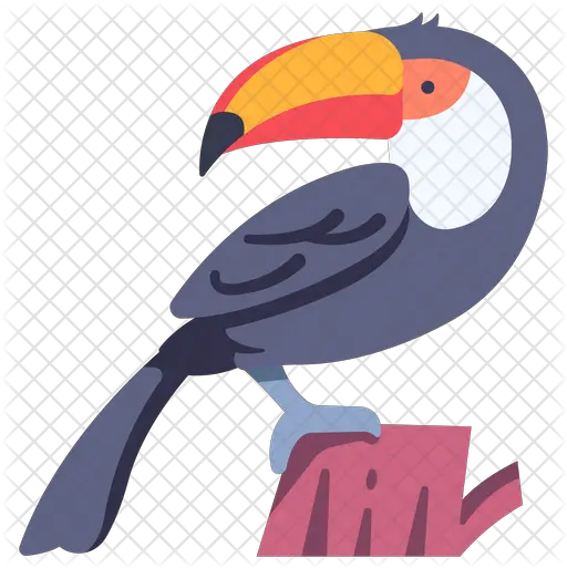 Toucan Icon Hornbill Png Toucan Png