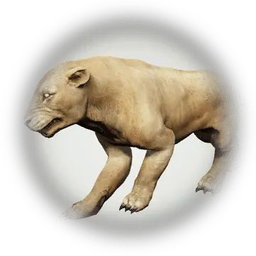Lion Meat Bdo Codex Animal Figure Png Lions Icon