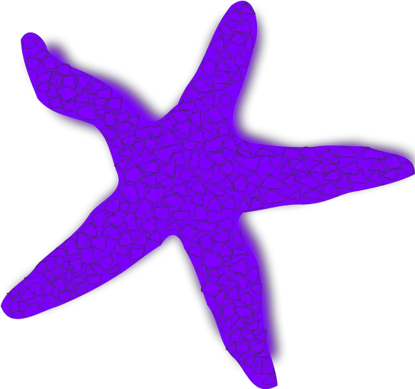 Download Starfish Illustrations And Clipart 1 Free Starfish Clip Art Png Starfish Transparent