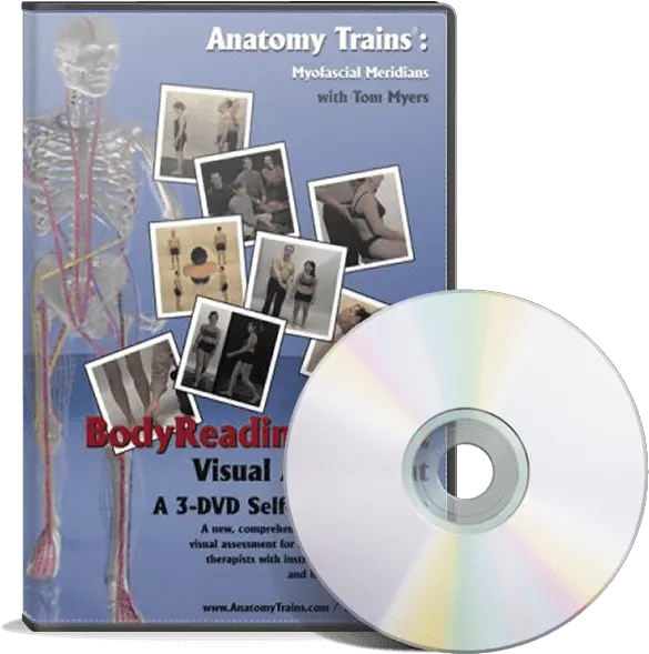 Bodyreading 101 Dvd Png Dvd Png