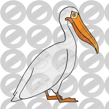 Lessonpix Mobile White Pelican Png Pelican Png