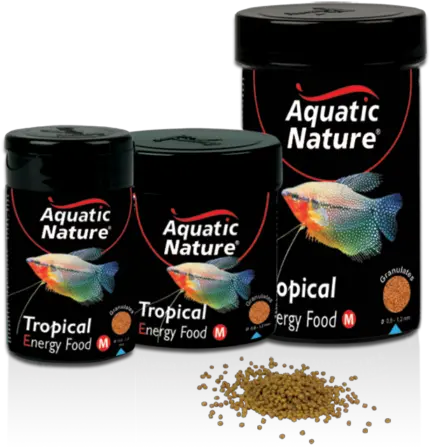 Tropical Fish Food Aquatic Nature Aquatic Nature Tropical Fish Food Energy S Png Tropical Fish Png