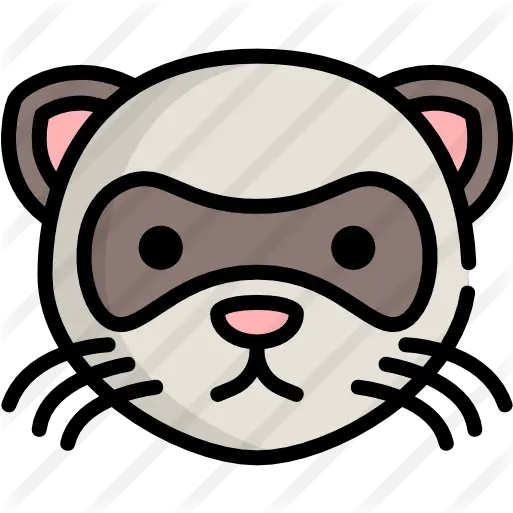 Ferret Huron Icon Png Ferret Png