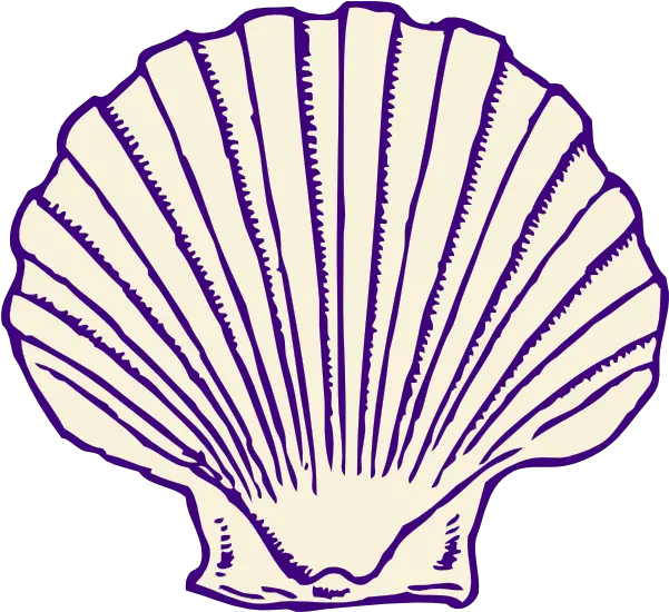 Shell Clipart Png 3 Station Seashells Black And White Blue Shell Png