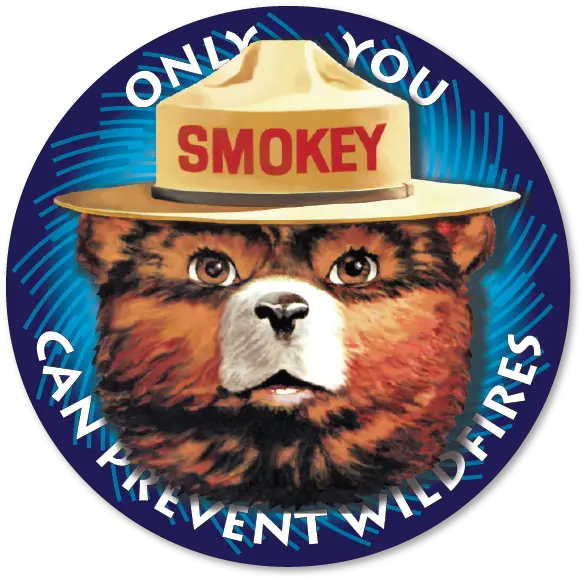 Smokey Bear Magnetic Logos Smokey The Bear Png Bear Logos