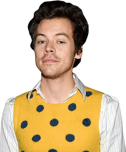 Harry Styles Yellow Top Buddy Harry Styles Cutout Life Size Png Harry Icon