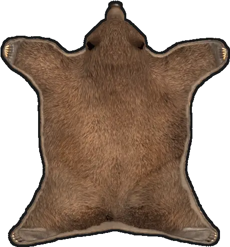 Rug Bear Skin Rust Wiki Fandom Bear Skin Rug Top View Png Bears Icon