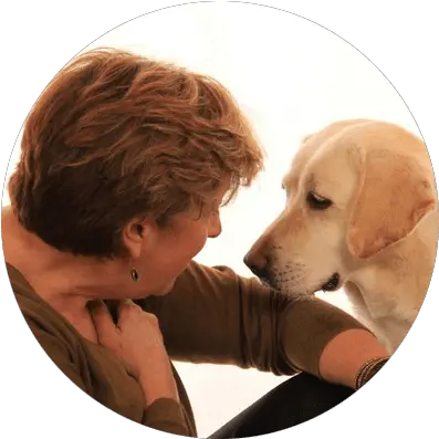 Dog Bite Prevention Webinar Series Good Dog Pro Labrador Retriever Png Puppy Love Icon