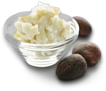 Shea Butter Transparent Png Clipart Shea Butter Butter Transparent