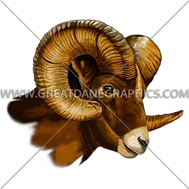 Goat Head Side View Png Image Drawing Ram Head Side View Goat Head Png