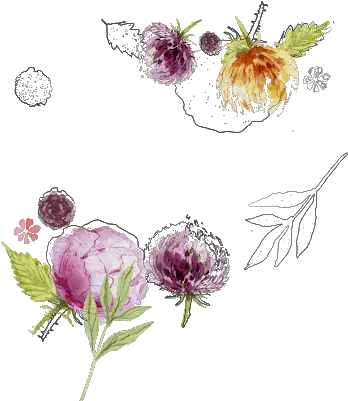 Water Colour Flower Png 22 Lavanya Fabric Design Watercolor Flowers Vector Watercolor Floral Png