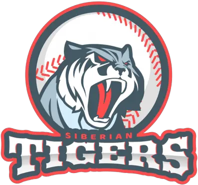 Cricket Team Logo Jpg Transparent Logo Png Image Logo