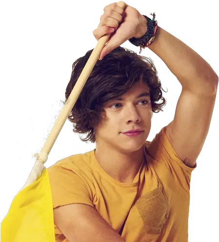 Imagenes Png De Harry Styles One Direction Harry Styles Birthday Harry Styles Png