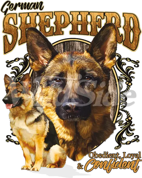 Download German Shepherd Obedient German Shepherd Png Old German Shepherd Dog German Shepherd Png