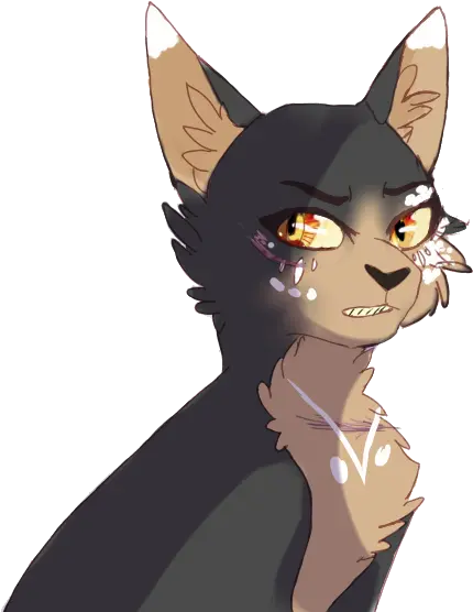 Angry Golden Cat Girl Wiki Full Size Png Download Seekpng Cartoon Angry Cat Png