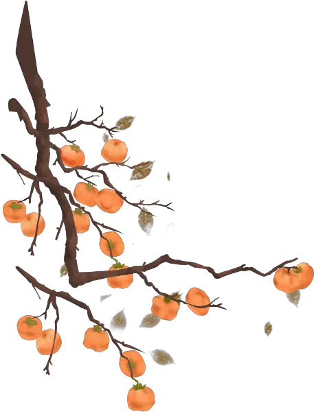 Free Online Persimmon Tree Plant Vector For Persimmon Tree Vector Png Tree Graphic Png