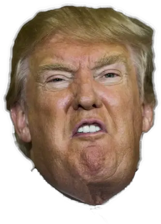 Angry Or Crying Both Donald Trump Head Cutout Png Trump Head Transparent