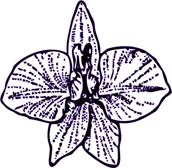 Flower Outline Clip Art Hd Tattoo Outlines Flower Png Flower Outline Png