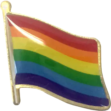 Pride Lapel Pin Waving Flag Flag Png Gay Pride Flag Png