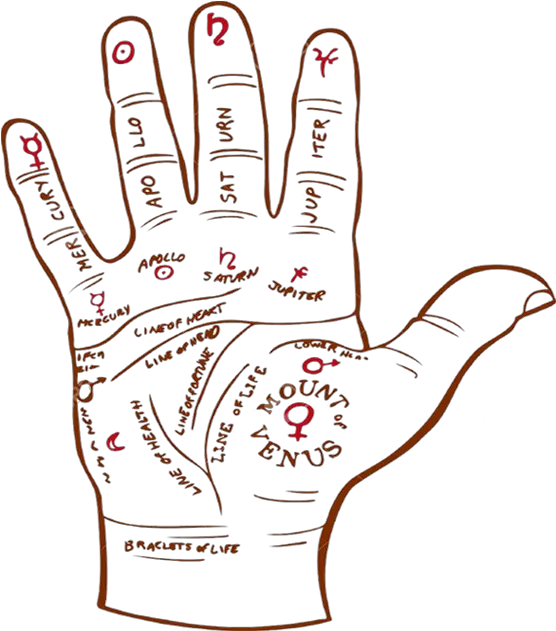 Best Palmist Astrologer Palm Reader Palmistry Services Psychic Palm Reading Png Hand Palm Png