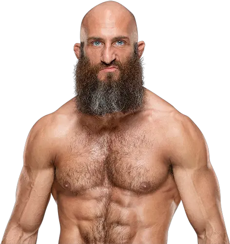 Tommaso Ciampa Thesportsdbcom Nxt Tommaso Ciampa Body Png Johnny Gargano Png