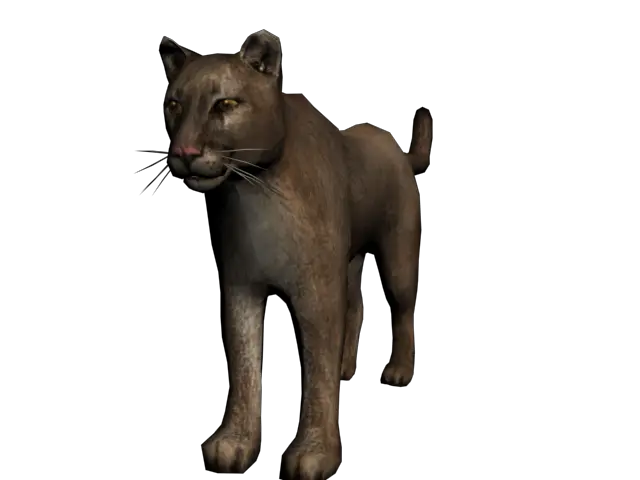 Demi The Cougar Mountain Lion Red Dead Redemption Full Transparent Animaux Rdr2 Png Mountain Lion Png