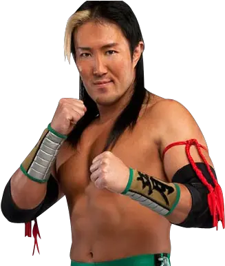 Sohodesign Yoshi Tatsu Png Wwe 12 Yoshi Tatsu Yoshi Png