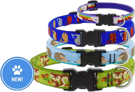 Lupine Pet Dog Collars Leashes U0026 Pet Gear Lifetime Guarantee Belt Png Collar Png