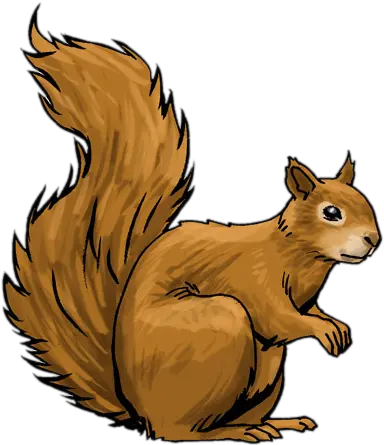 Library Of Xerus Image Royalty Free Png Files Clipart Image Of Squirrel Squirrel Transparent Background