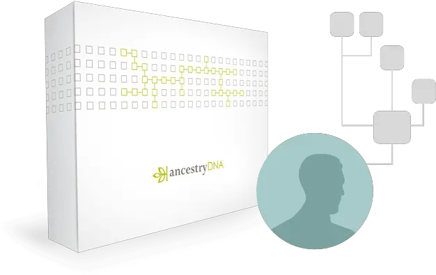 How To Contact Your Ancestry Dna Matches So They Respond Png Icon