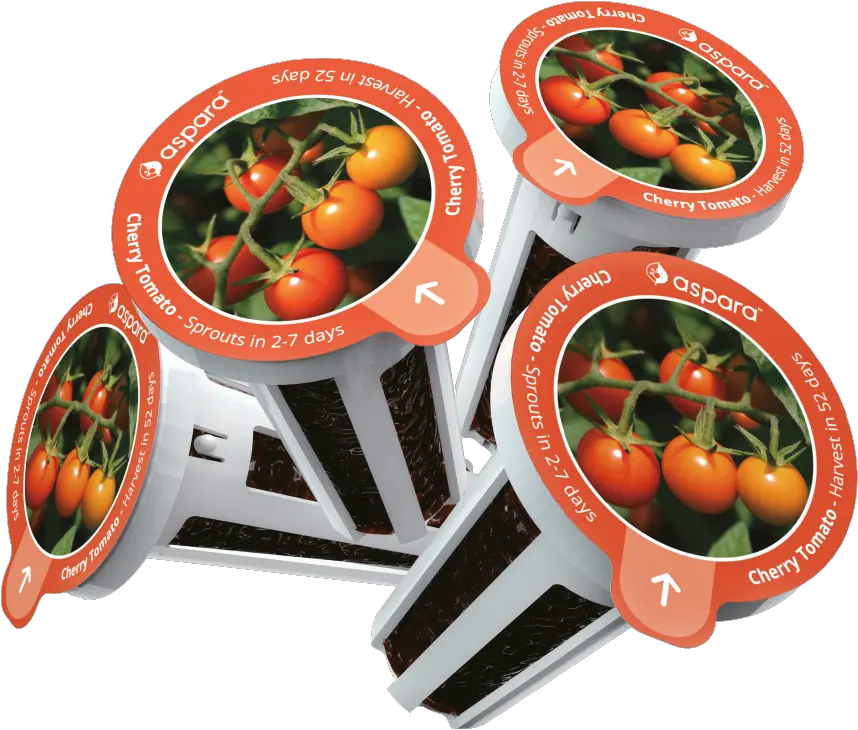 Aspara Ktc0001 8 Capsule Seed Kit Cherry Tomato Png Tomato Png