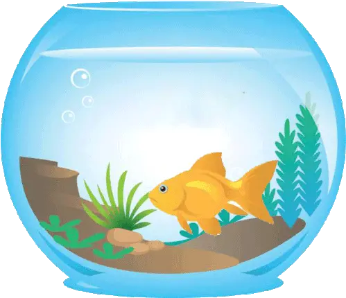 Goldfish Aquariumme Sticker Goldfish Aquariumme Do Fish Fish In Aquarium Gif Png Goldfish Icon