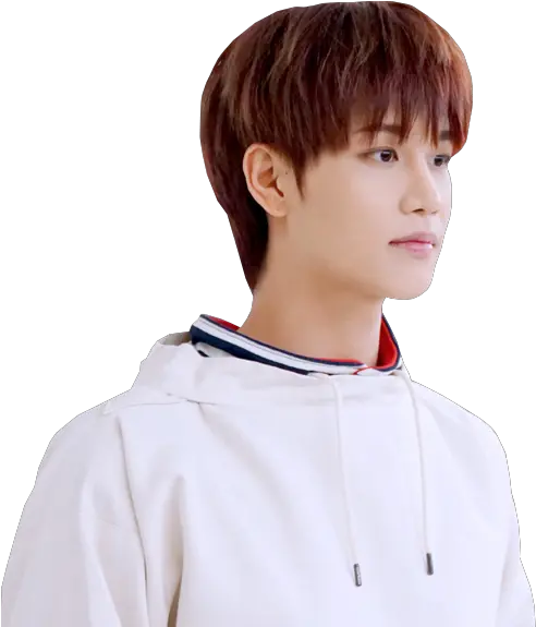 Nct Png Fundotransparente Sticker Mandarin Collar Nct Png