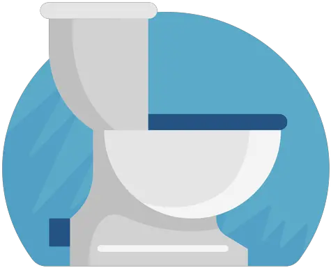 Flush Toilet Icon Basilica Png Toilet Png