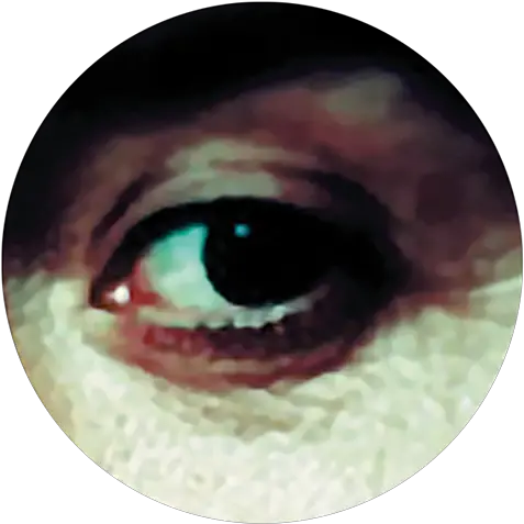 The Back Room Green Eye Png Transparent Lucky Luciano