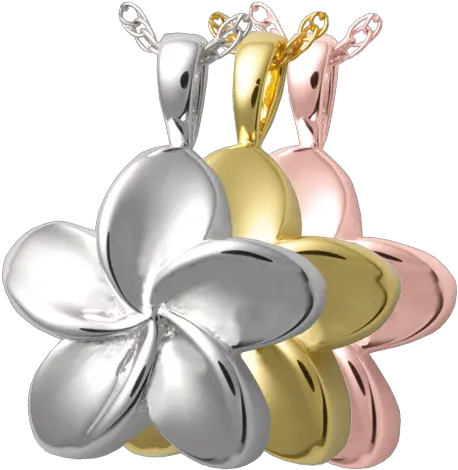 Plumeria Flower Locket Png Plumeria Flower Png