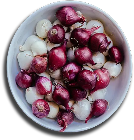 Dailo Red Onion Png Onion Transparent