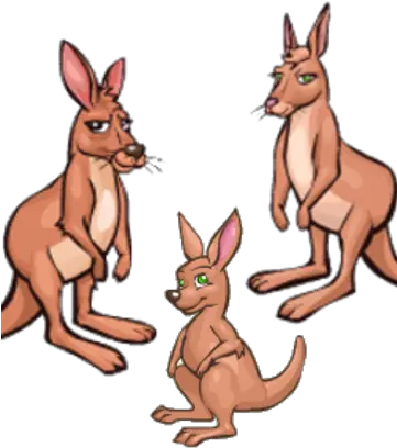 Red Kangaroo Zoomumba Wiki Fandom Cartoon Png Kangaroo Png