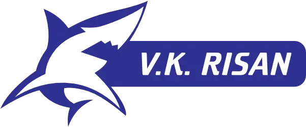 Vk Risan Logo Download Logo Icon Png Svg Language Vk Icon