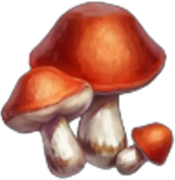 Knights And Brides Wiki Agaric Png Mushrooms Png