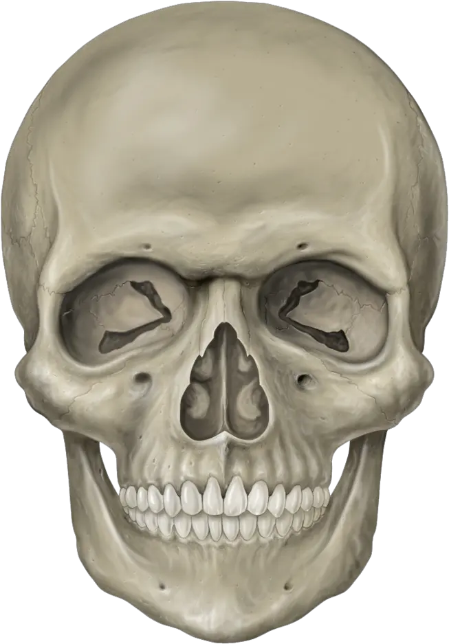 Skull With Bones Png