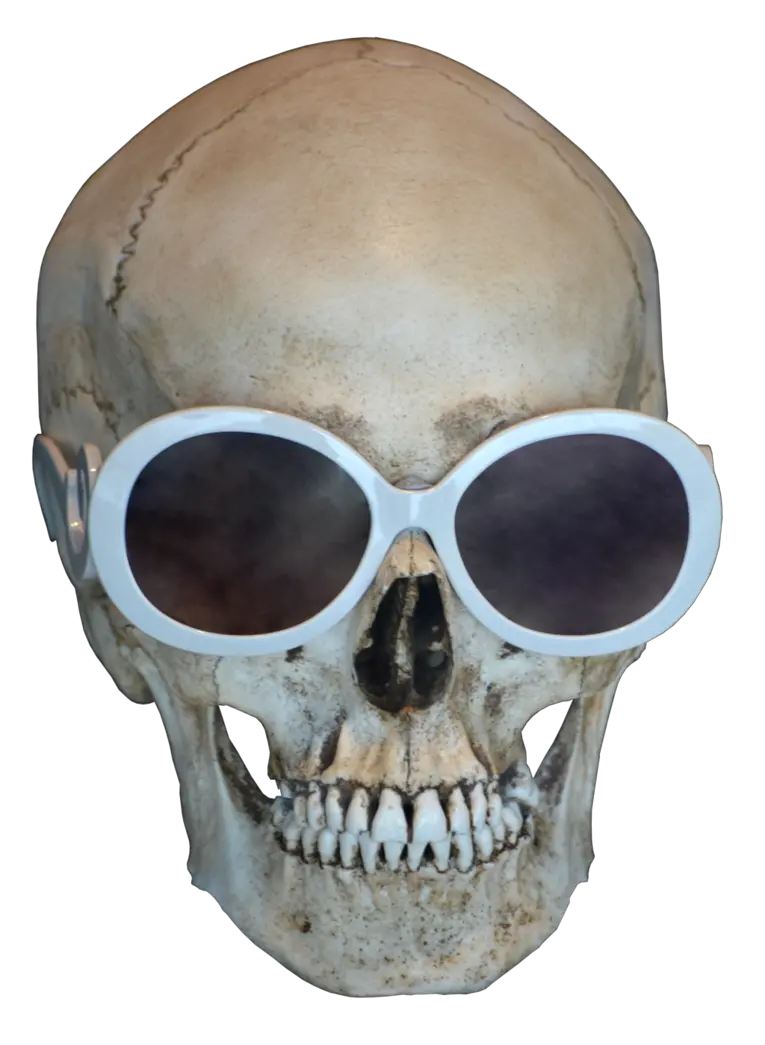 Skull Profile Png