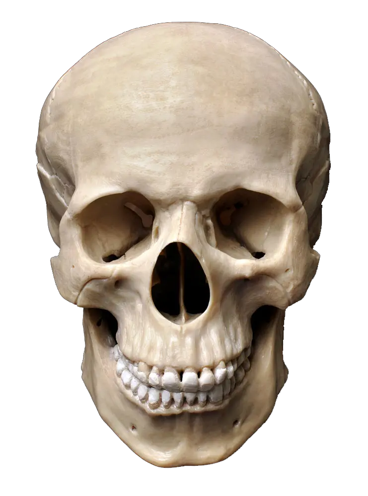 Skull Png For Editing