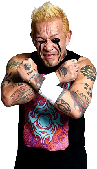 Pro Wrestling Noah Puroresu System Wiki Fandom Nosawa Rongai Png Wrestling Icon Quiz